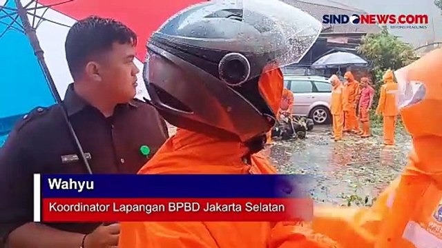 Pohon Tumbang akibat Hujan Deras dan Angin Kencang, Mobil Alami Kerusakan