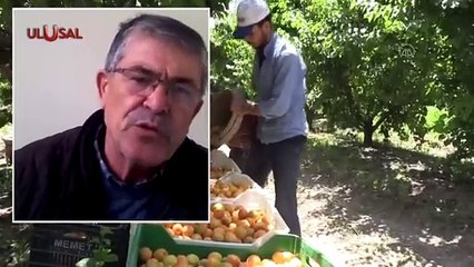 TARSİM Çiftçi Dostu mu Değil mi?