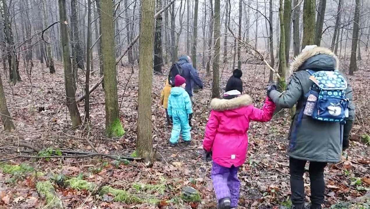 Dziennik Zachodni / Spacer po lesie murckowskim / reporter Marzena Bugała - Astaszow