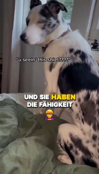 Mystery paranormal Ghost horror vidéos cam  #fyp #viral #asmr #short #trend #scary #paranormal #horror #mystery