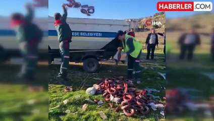 Muğla'da yol kenarına atılan bozulmuş sucuklar imha edildi
