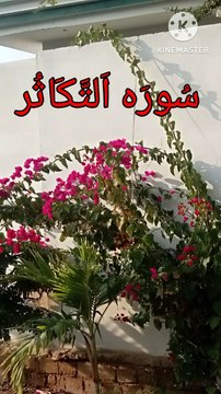 Surah Al Takasur | Al takasuer | Quran tilawat | quranic verses