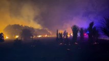 Bushfire On Kangaroo Island