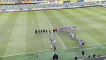 IRISH CUP: Linfield v Warrenpoint Town