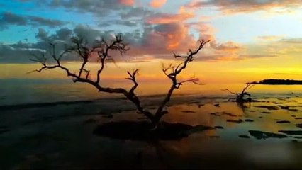 surah an naziat  tilawat e quran  সূরা আন-নযিআ’ত