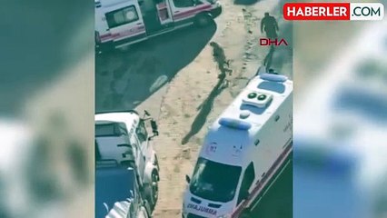 Mardin'de Silahlı Kavga: 1'i Ağır 3 Kişi Yaralandı