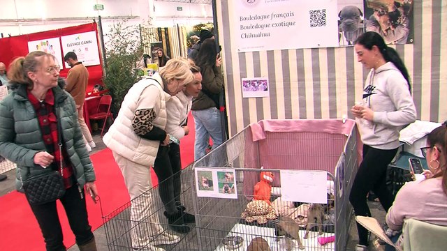 Au salon Animal Mania, parc Chanot à Marseille : ne pas craquer, ne pas craquer