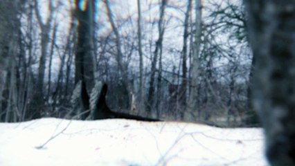 Almost Unsolved: True Crime Series 🕵️‍♂️