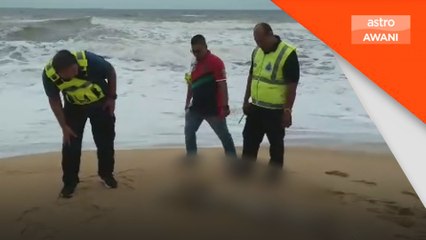 Mayat reput tanpa kepala ditemui terdampar di Pantai Rantau Abang