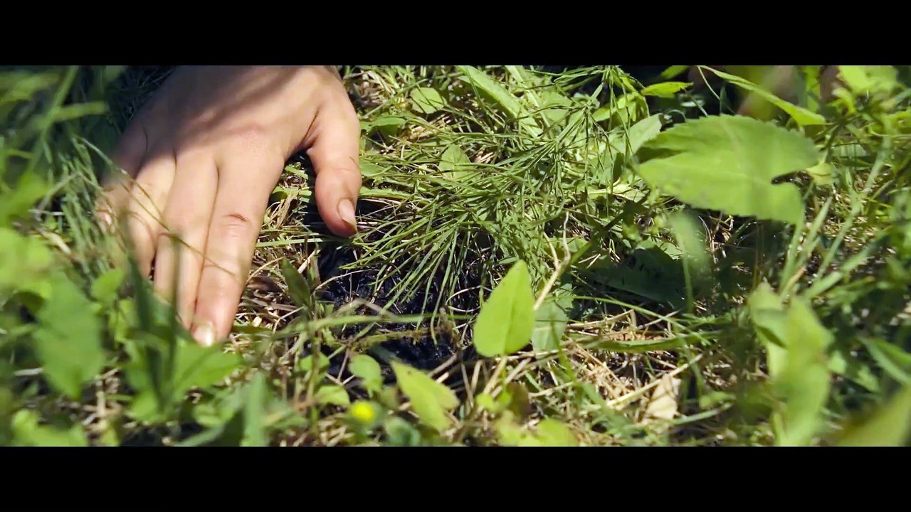 DAS ERWACHEN DER JÄGERIN Film - Clip und Trailer