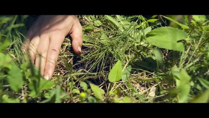 DAS ERWACHEN DER JÄGERIN Film - Clip und Trailer