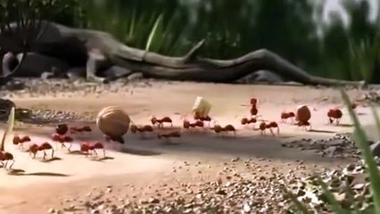 فلم انمي عن عن التعاون A short film about cooperation) HD(360P)