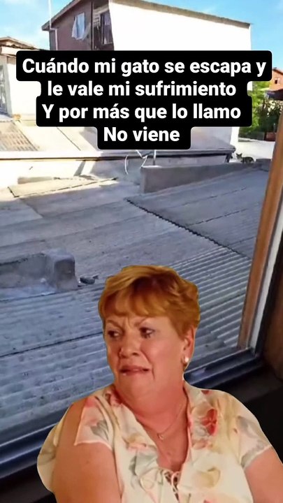 llorando por mi gato