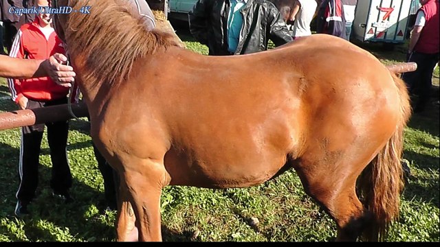 DERVENTSKI VAŠARI - 2010/23. DRUGI DIO 4K