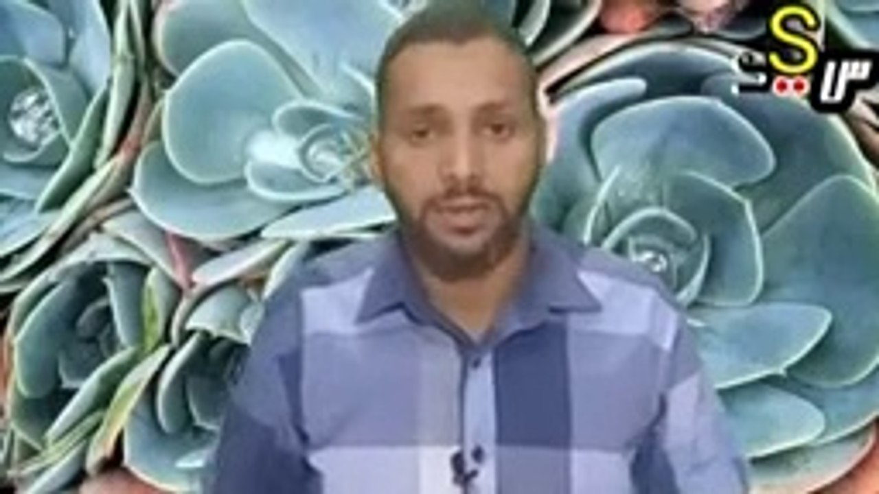 ماهى اسباب التحرش وعلى من يقع الذنب(144P)
