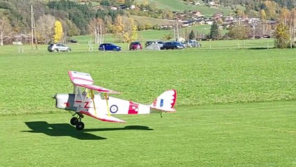 Tigermoth Touch and go