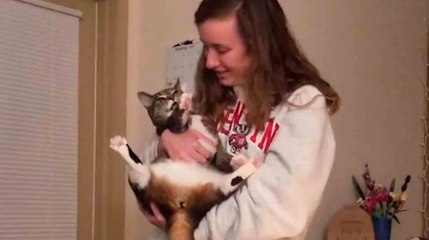 Vídeo: kissa matkii omistajaansa kuin papukaija ja rikkoo internetin