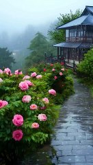 Raindrops that relaxing mood ❤️