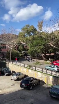 Forte vento a Messina, grosso albero cade sui cancelli dell'istituto La Pira-Gentiluomo di Camaro