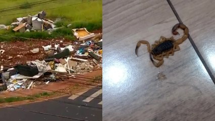 Prefeitura de Sumaré garante limpeza periódica em terreno com descarte ilegal de lixo