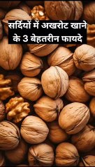 Walnut Benefits in Winter 2024-01-07 at 18.17.05