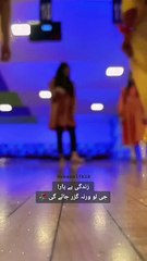 Palak tak chal sath mery