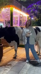 The End  #funny #viral #fails #shorts
