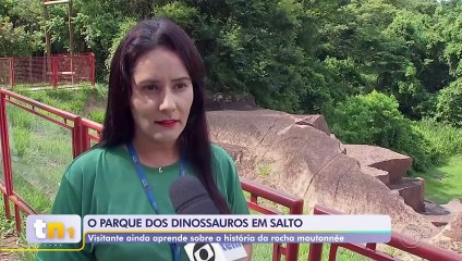 PARQUE DOS DINOSSAUROS EM SALTO