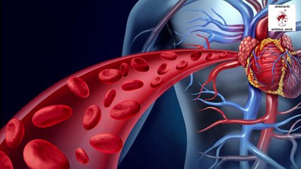 ಒತ್ತಡದಿಂದ ಪಾರಾಗಲು ನಮ್ಮ ಆಹಾರ, ಜೀವನ ಕ್ರಮದಲ್ಲೂ ಬೇಕು ಬದಲಾವಣೆ | ಭಾಗ - 02