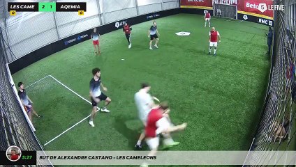 But de Alexandre CASTANO - LES CAMELEONS