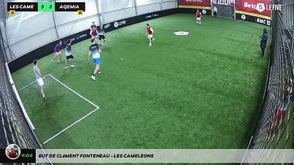 But de Clément FONTENEAU - LES CAMELEONS