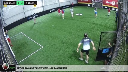 But de Clément FONTENEAU - LES CAMELEONS