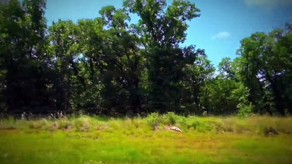 CIDADE PACATA, CRIME CRUEL - COVA RASA - T2 EP4