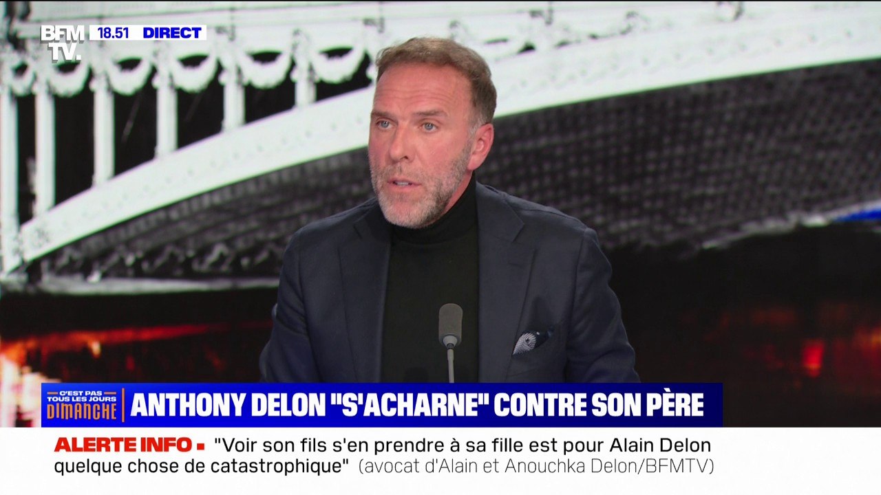 Affaire Delon: l'avocat d'Anouchka Delon annonce qu'une plainte pour "diffamation" contre Anthony Delon est en cours de rédaction