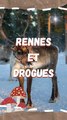 Consommation de drogues : Rennes !