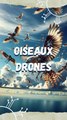 Des drones oiseaux !