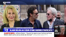 Affaire Delon: qui est l'avocat du père? 