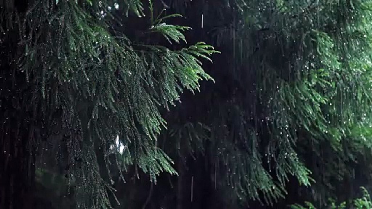 هدوء