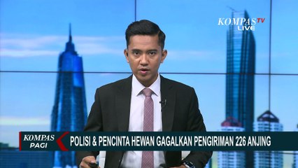 Polisi dan Pecinta Hewan Gagalkan Pengiriman 226 Anjing di Tol Kalikangkung Semarang