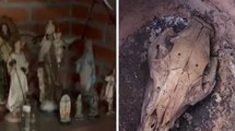 Narcotráfico y brujería: gigantesco cargamento de cocaína cayó por no hacer ritual, dicen capturados