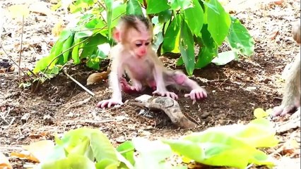 Oh why mother do like this with tiniest baby_, Mother Sarika drag poorest baby (720p_25fps_H264-192kbit_AAC)