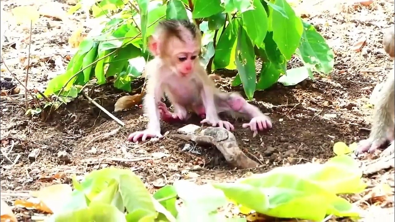 Oh why mother do like this with tiniest baby_, Mother Sarika drag poorest baby (720p_25fps_H264-192kbit_AAC)