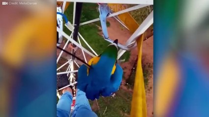 Mind Blowing Moments That You Must See