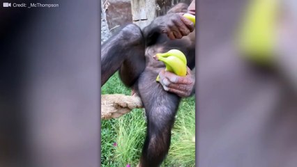 Moments You Wouldn't Believe If They Weren't Recorded
