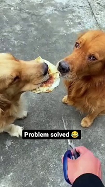 Check how to solve a problem.