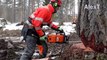 Extreme Dangerous Idiot Cutting Down Giant Tree Skill Chainsaw Machine, Fastest Felling Tree Wor