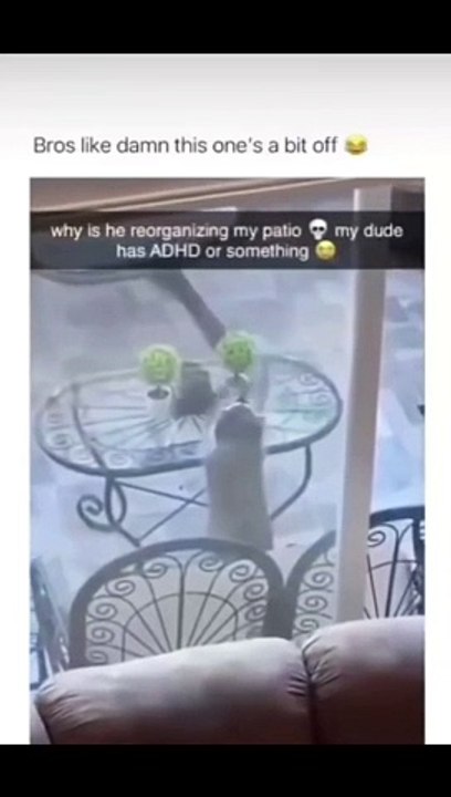 Funny cat dog animal videos on Instagram Tiktok #memes #funnyanimals #مضحك