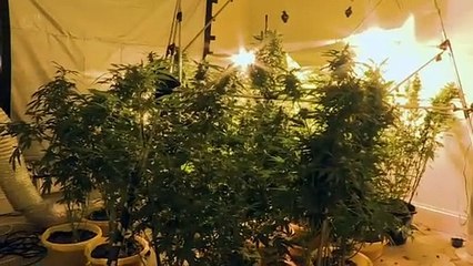 Police Interceptors S14E11 (23 July 2018)