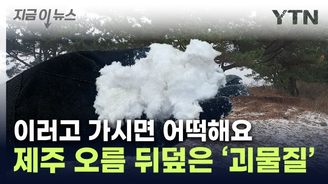 영화 촬영 후...정체불명 '흰 물질'에 점령당한 제주 오름 [지금이뉴스] / YTN