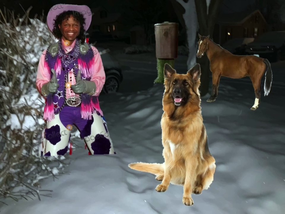 Jim Henson Dogs Xexuson - Real Life Dog Segment - Curtis the Dog in Snow Winter a Horse